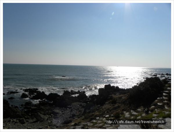 DSCN0799.jpg