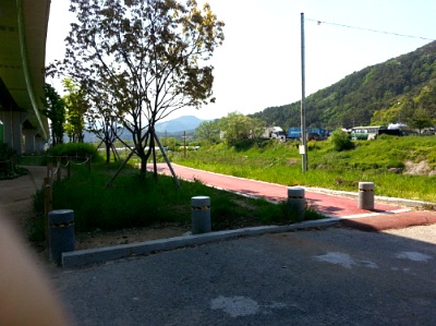868.jpg