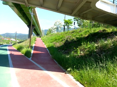 878.jpg
