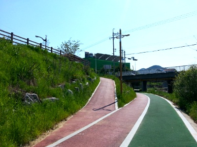 881.jpg