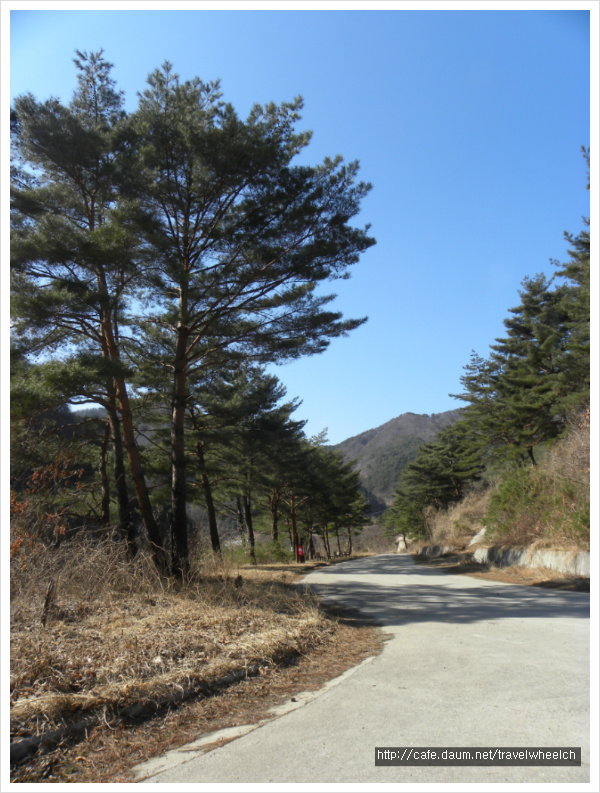 DSCN2124.jpg