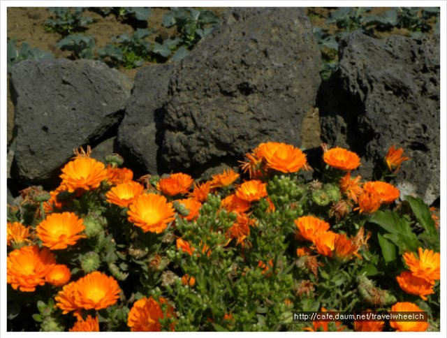 DSCN8250.jpg