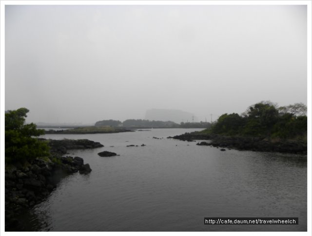 DSCN8193.jpg