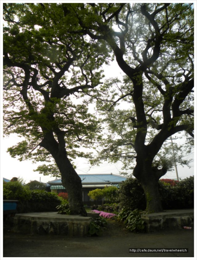 DSCN8185.jpg