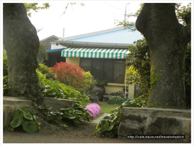 DSCN8189.jpg