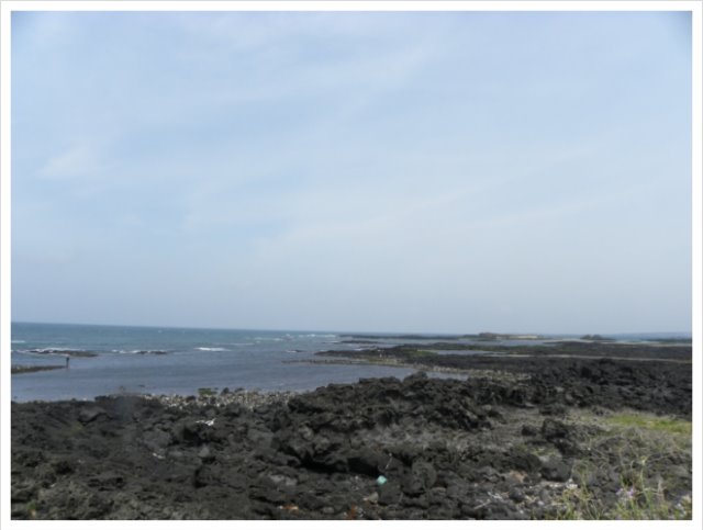 DSCN7923.jpg