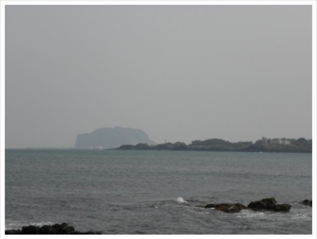 DSCN7930.jpg