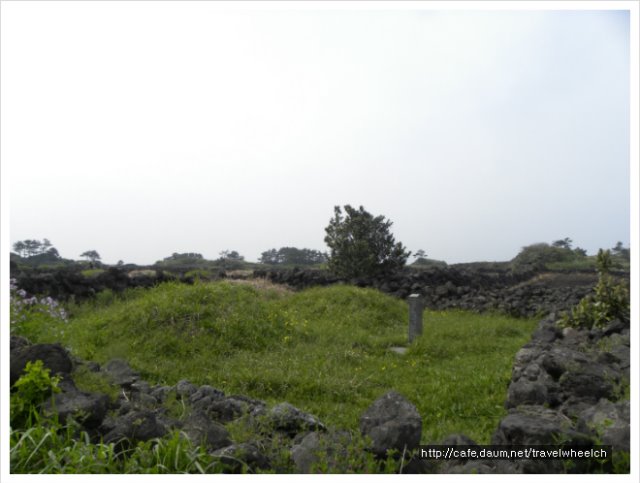 DSCN7942.jpg
