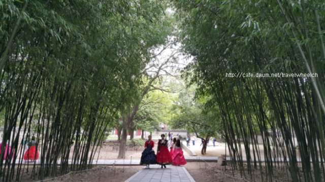 20161007_131535.jpg