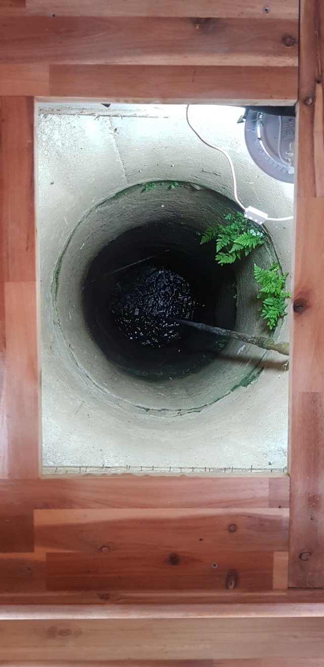321.jpg